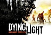 Dying Light - Season Pass Ru Vpn Required Steam Cd Key