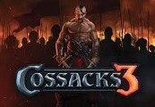 Cossacks 3 Steam CD Key